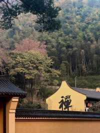 秋冬五瀉絕了！瀑布禪寺與黃金大道