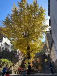 週末出遊|安徽齊雲山
