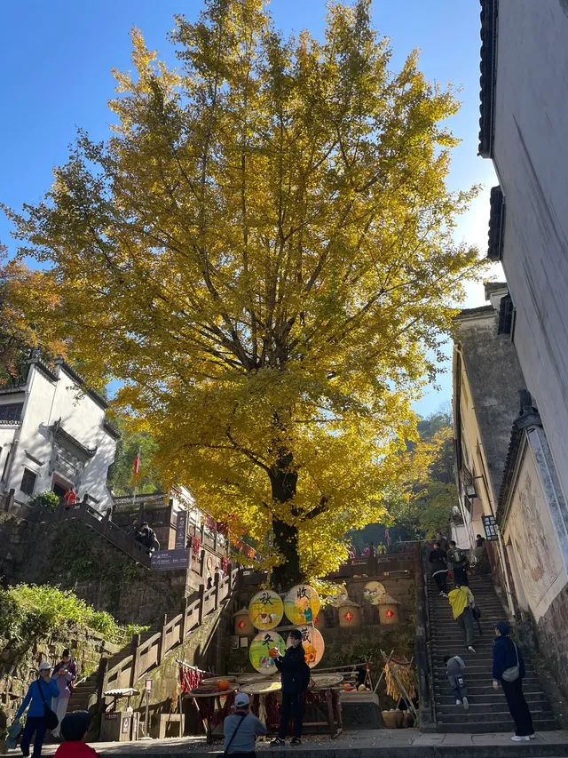 週末出遊|安徽齊雲山 週末出遊|安徽齊雲山