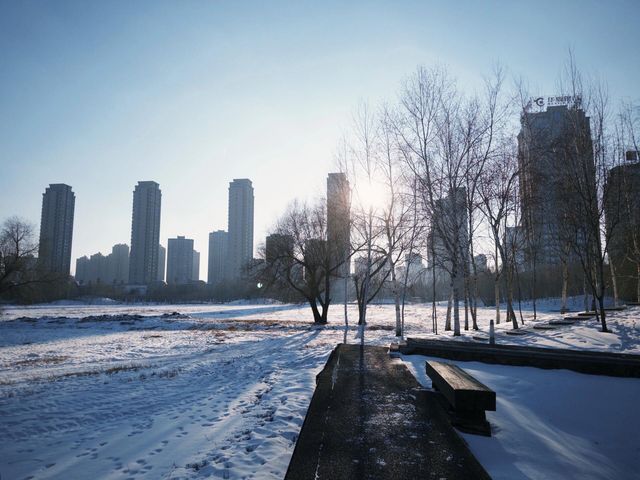 哈爾濱冬日小眾秘境·多圖暴擊預警 哈爾濱冬日小眾秘境·多圖暴擊預警