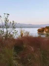 千島湖的秋意已加載完畢