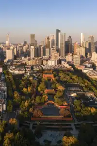 該怎麼向你描述南京的秋天呢