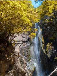 浙北大峽谷遊玩全攻略|懸崖秋千+玻璃吊橋嗨翻天