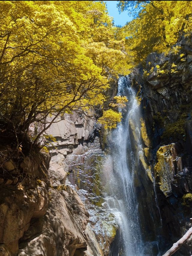 浙北大峽谷遊玩全攻略|懸崖秋千+玻璃吊橋嗨翻天 浙北大峽谷遊玩全攻略|懸崖秋千+玻璃吊橋嗨翻天