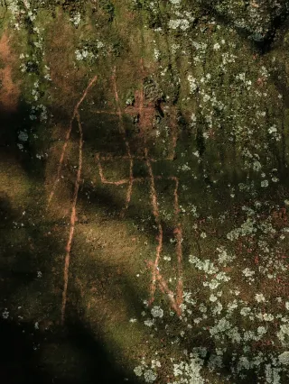 ほとんど知られていない、蒲江の山に隠された千年の古道