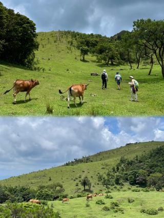 廣東小伊犁這個雲端草原藏太深！八排山徒步全攻略來啦