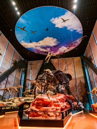 1 Hour Direct from Beijing! This New Museum Kept My 4-Year-Old Busy for 4 Hours Without Wanting to Leave