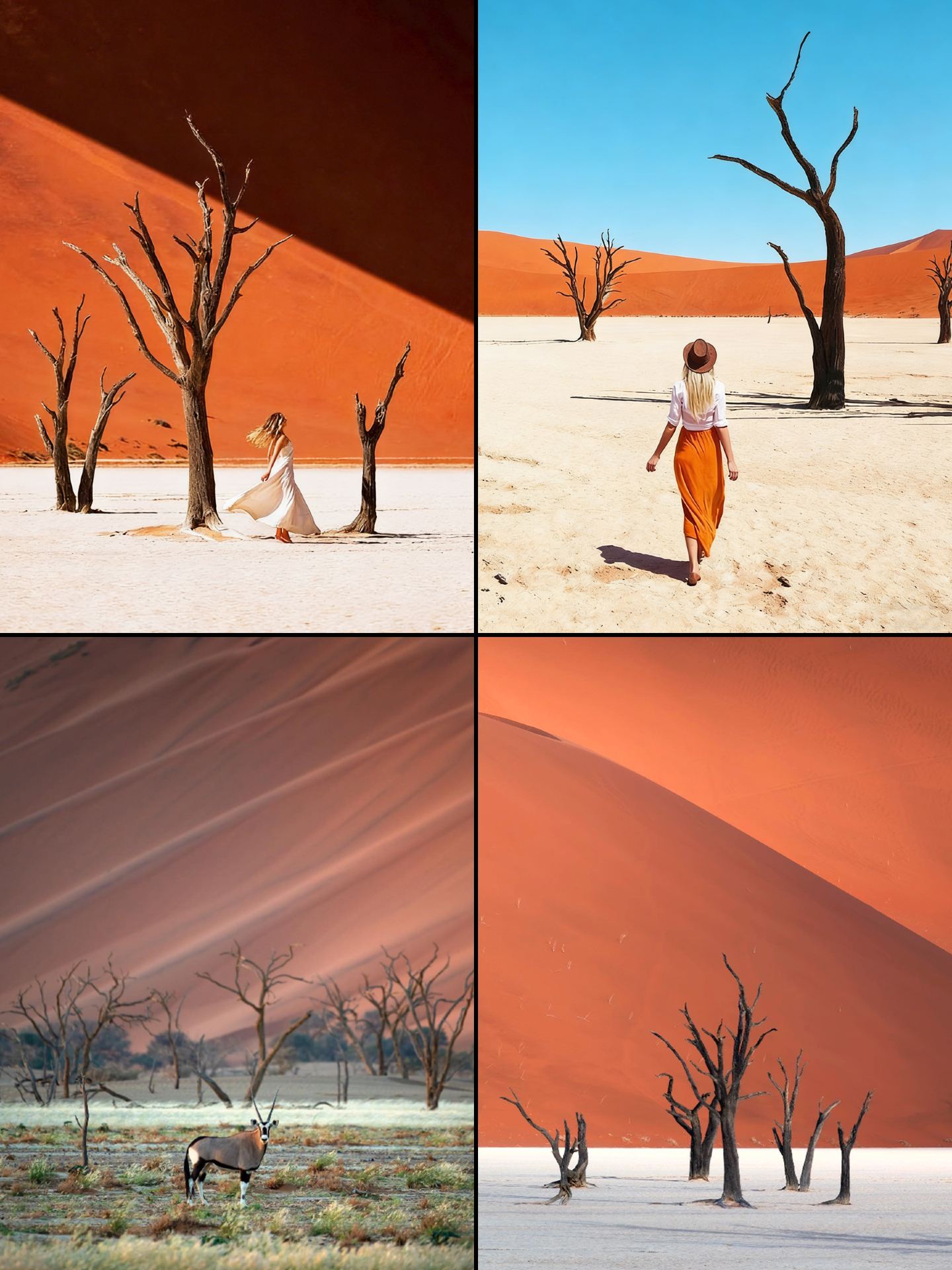 9 ngày ở Namibia | Gợi ý du lịch hàng đầu từ tháng 5 đến tháng 10