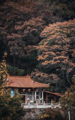 แสวงหาความสงบในภูเขาและป่าไม้ ปีนป่ายขึ้นสู่ที่สูงเพื่อชำระล้างจิตใจจากความกังวลทางโลก