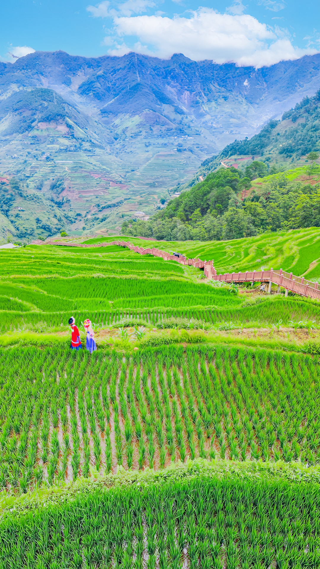 Những thửa ruộng bậc thang ở Tứ Xuyên đẹp như tranh vẽ và mang lại cảm giác bình yên cho tâm hồn.