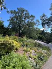 Stunning Views and Serene Gardens