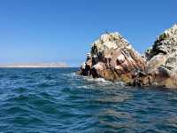 Exceptional Support and Service from Fabulous Peru Tours