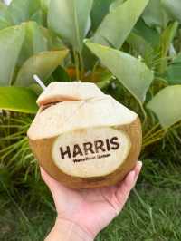 A Truly Memorable Stay at Harris Waterfront Batam