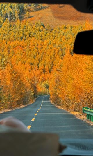 live The most beautiful autumn in life is in Daxing'anling in September