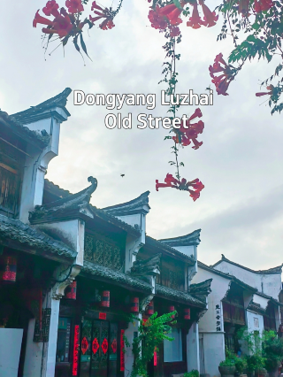 ถนนลู่ไจ้ในเมืองตงหยาง | อัญมณีที่ซ่อนเร้นในเจียงหนาน "เมืองต้องห้าม"! วัฒนธรรมท้องถิ่นและชีวิตประจำวันที่คนท้องถิ่นเท่านั้นที่รู้จัก