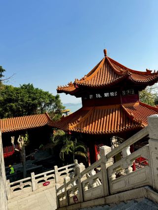 Southerners taking the kids out in Nansha, Guangzhou‼️ One-stop free seaside foraging