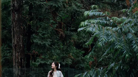 겨울 여행으로 에메이산에 가서 산속 개인 온천에서 숲 속에서 따뜻함을 찾았습니다. — traveler post in 러산