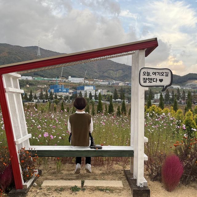 💙가족끼리 가기좋은 정원카페 [푸르뫼]💙