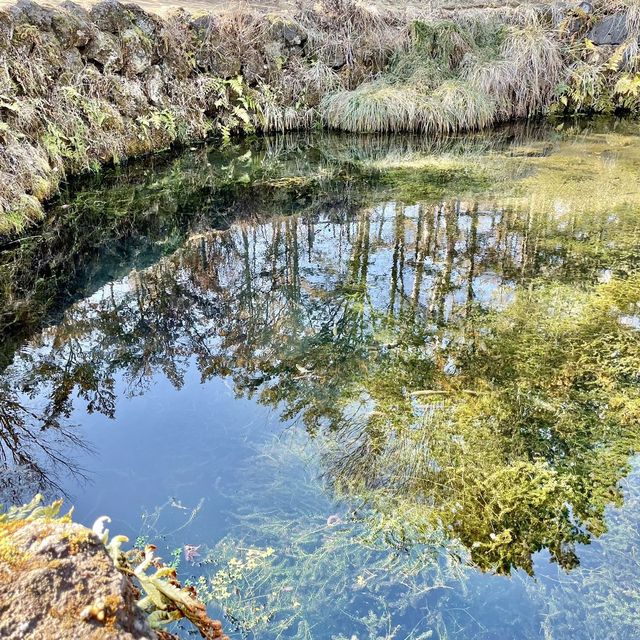 忍野八海