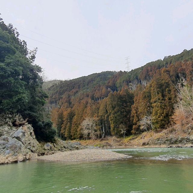 嵐山最在地的體驗【保津川遊船】