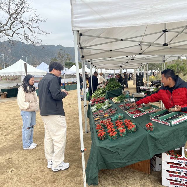 ถนนคนเดินแถว Pepperdine University, Malibu