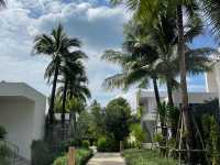 Melia Phuket Mai Khao, why are you so pretty?