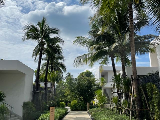 Melia Phuket Mai Khao, why are you so pretty?