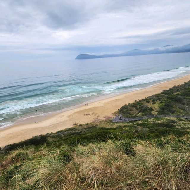 Bruny Island Neck Game Reserve