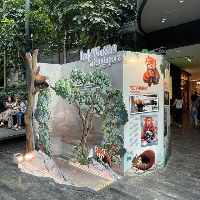 Jewel Changi Airport + Disney 100th
