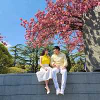 봄옷을 입은 부산 유엔공원