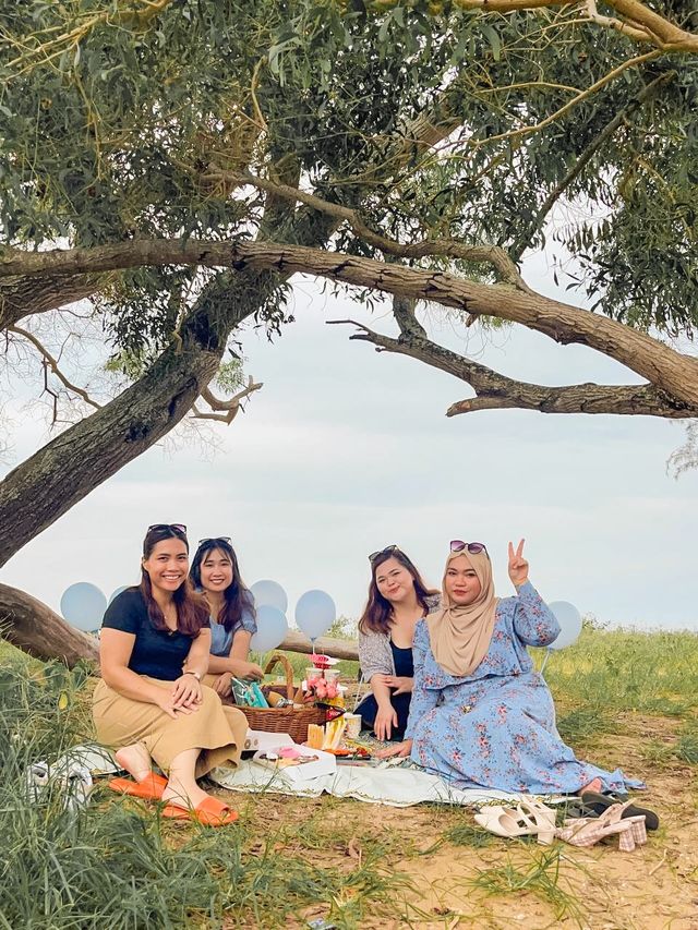 STRATEGIC PLACE FOR PICNIC ON MIRI♥️