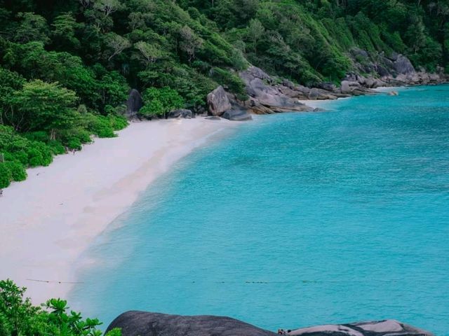 Similan Calling ~