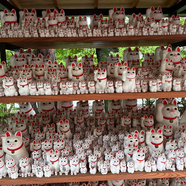 招財貓の寺——豪德寺🐈‍⬛😸