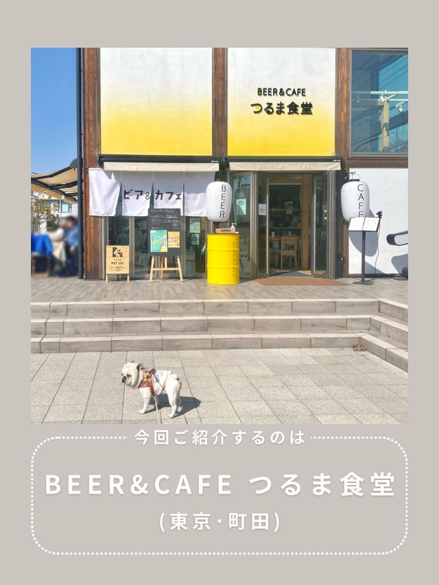 【南町田】わんこと行ける穴場ランチ🍕