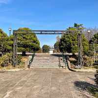 横浜【港の見える丘公園】イングリッシュ・ローズの庭