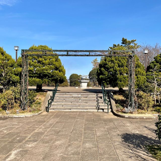 横浜【港の見える丘公園】イングリッシュ・ローズの庭