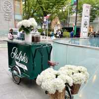 오모테산도에서 감성과 커피 즐기기 “Ralph’s Coffee”☕️