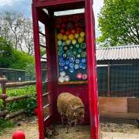 LOVELY ANIMAL FARM IN LONDON!