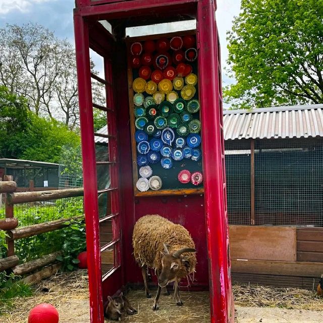 LOVELY ANIMAL FARM IN LONDON!