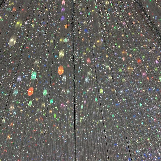 Teamlab Planets Tokyo 視覺藝術很受