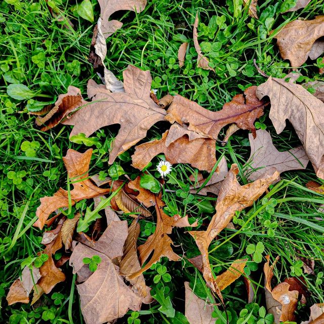 Cozy at Royal Botanic Gardens Melbourne