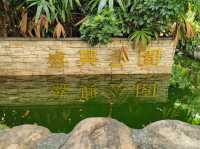 高雄前鎮-都市森呼吸🌿盛興公園（巨大的都市公園）