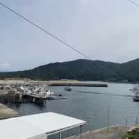 福岡糸島市芥屋漁港，鮮甜海產盡在其中