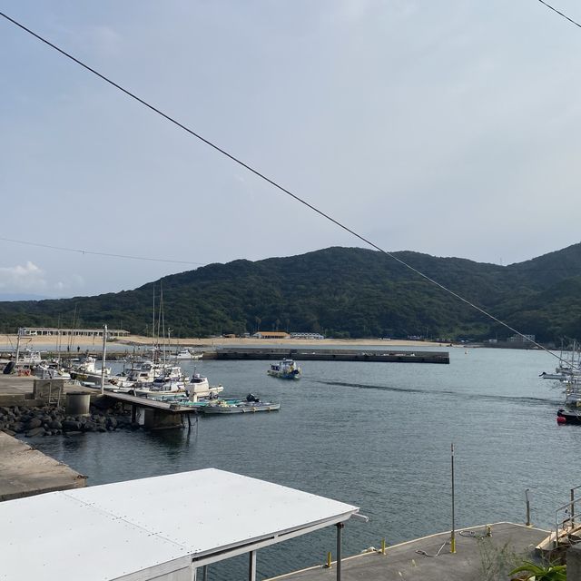 福岡糸島市芥屋漁港，鮮甜海產盡在其中