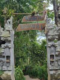 Banyumala Waterfall