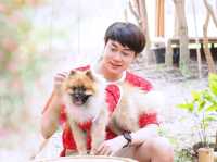 อิ๊กซ์อีสานคาเฟ่ คาเฟ่ทุ่งนาบรรยากาศดีต่อใจ