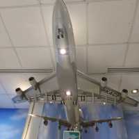 A place where aircraft regularly take off and land