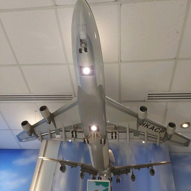 A place where aircraft regularly take off and land