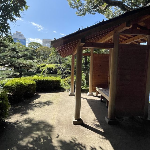 【大阪府】旧住友家の本宅庭園「慶沢園」