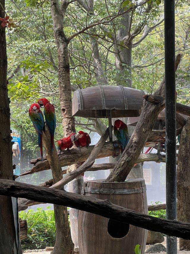 泰國🇹🇭人氣曼谷近郊Marine Park❣️親子遊好去處
